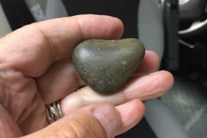 På tur med et hjerte av stein